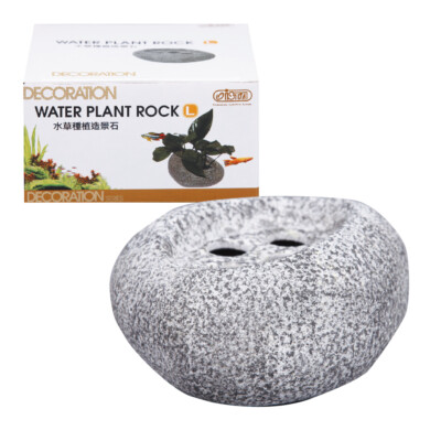 Ista Wasserpflanze Felsenpflanzung Aquarium Aquarium Dekoration Deko Stein