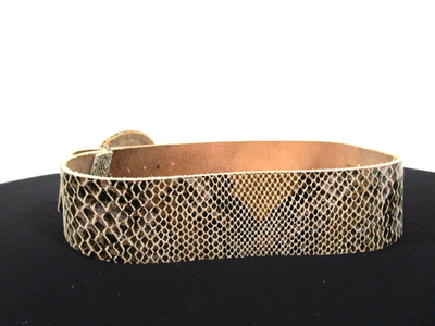 Chico’s snake print bronze statement wide belt Chico main image 2