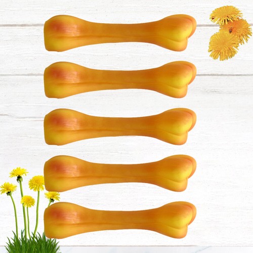 5 Pcs Knochenspielzeug Haustier -Kauspielzeug Geräuschspielzeug Für Haustiere