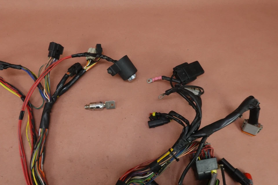 Harley-Davidson Forty Eight XL1200X XL1200 2011-2015 arnés de cableado principal con llave Foto 2 de 4