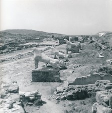 DÉLOS c. 1950 -Site Archéologique Agora Romaine Terrasse des Lions Grèce- NV 287