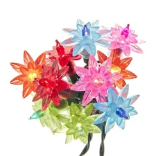 Kurt S. Adler UL4335M Novelty Lights, Multi-Colored