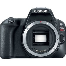 Open Box Canon EOS Rebel SL2 24.2 MP Digital SLR Camera - Black Body Only