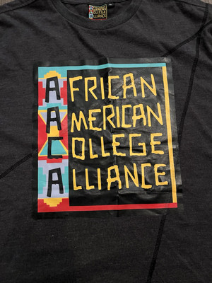 新品★L'Appartement AMERICANA AMRCN T Shirt L'Appartement 【AMERICANA/アメリカーナ】 Tシャツグレー AMERICANA