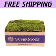 Preserved Sheet Moss in Fresh Green - 5 lb Large Flat Sheets for Easy Decor