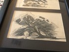 Foto 7 di 12