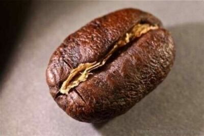 Guatemala Antigua Peaberry Coffee Beans Medium Roast 5lb Whole Bean 5 x 1lb Bags