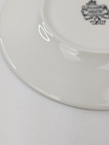 4 Pagnossin Ironstone Salad Dessert Plates 8.25" Treviso Italy Arizona Sun - Picture 8 of 12