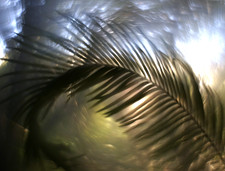 Petzval Modification READ KMZ Helios 44M 58mm F/2 DreamySwirlyBokeh M42 lens