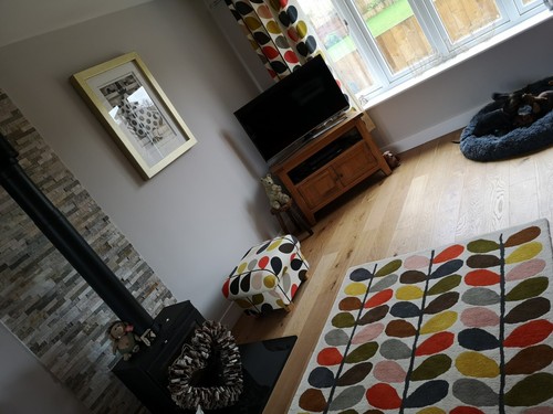 Footstool Orla Kiely Fabric Pouffe Foot Rest Multi Stem Tomato Linear Dandelion - Picture 19 of 44