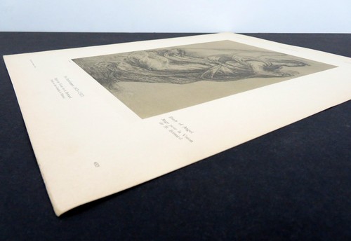 Angel of St. Bernard, Fra Bartolommeo. 1896 German lithograph - Picture 2 of 4