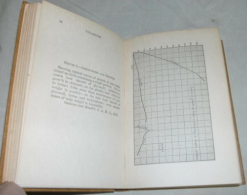 Vitamine: Essentielle Lebensmittelfaktoren von Benjamin Harrow 1921 Erstausgabe - Bild 7 von 11