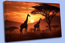 Giraffe Harmony Sunset Canvas Print - Wildlife Wall Art Decor