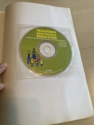 Verantwortungsvolles Unterrichten: Entwicklungstherapie-Entwicklungsunterricht mit CD - Bild 15 von 17