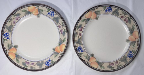 Mikasa Intaglio Garden Harvest CAC29 Salatteller 8 3/8" Steinzeug Obstrand - Bild 6 von 10