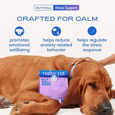 GUTWELL STRESS SUPPORT, DOG ANXIETY RELIEF & CALMING TREATS, TASTY FOOD TOPPER