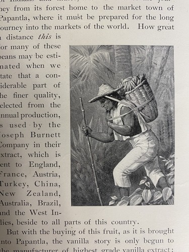 1900 About Vanilla, The Jospeh Burnett Company Boston Illustrated HC - Picture 4 of 13