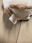 Collector Only TY Beanie Baby WISE the owl class of ‘98 Retired Rare W/tag Error — photo 4