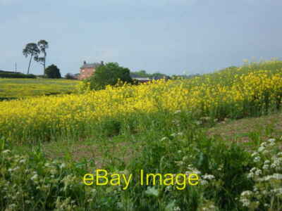 Foto 6x4 Lodge Farm, Welford, Northants Ansicht aufgenommen von Hall Lane Trense c2005