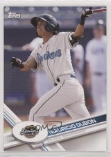 2017 Topps Pro Debut Mauricio Dubon #114 0b3