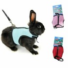 Collari e guinzagli in nylon per piccoli animali