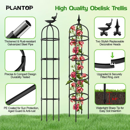 2 Pack Garden Obelisk Trellis 6ft Tall Rustproof Climbing Plant Support Garden - Picture 3 of 8