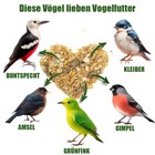 Bild 10 von 10