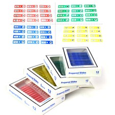 48 PCS Insects Plant Animal Specimen Plastic Microscope Prepared Slides for Kids