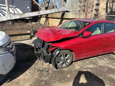 (LOCAL PICKUP ONLY) Passenger Front Door Electric Sedan US Built Fits 17-20 ELAN