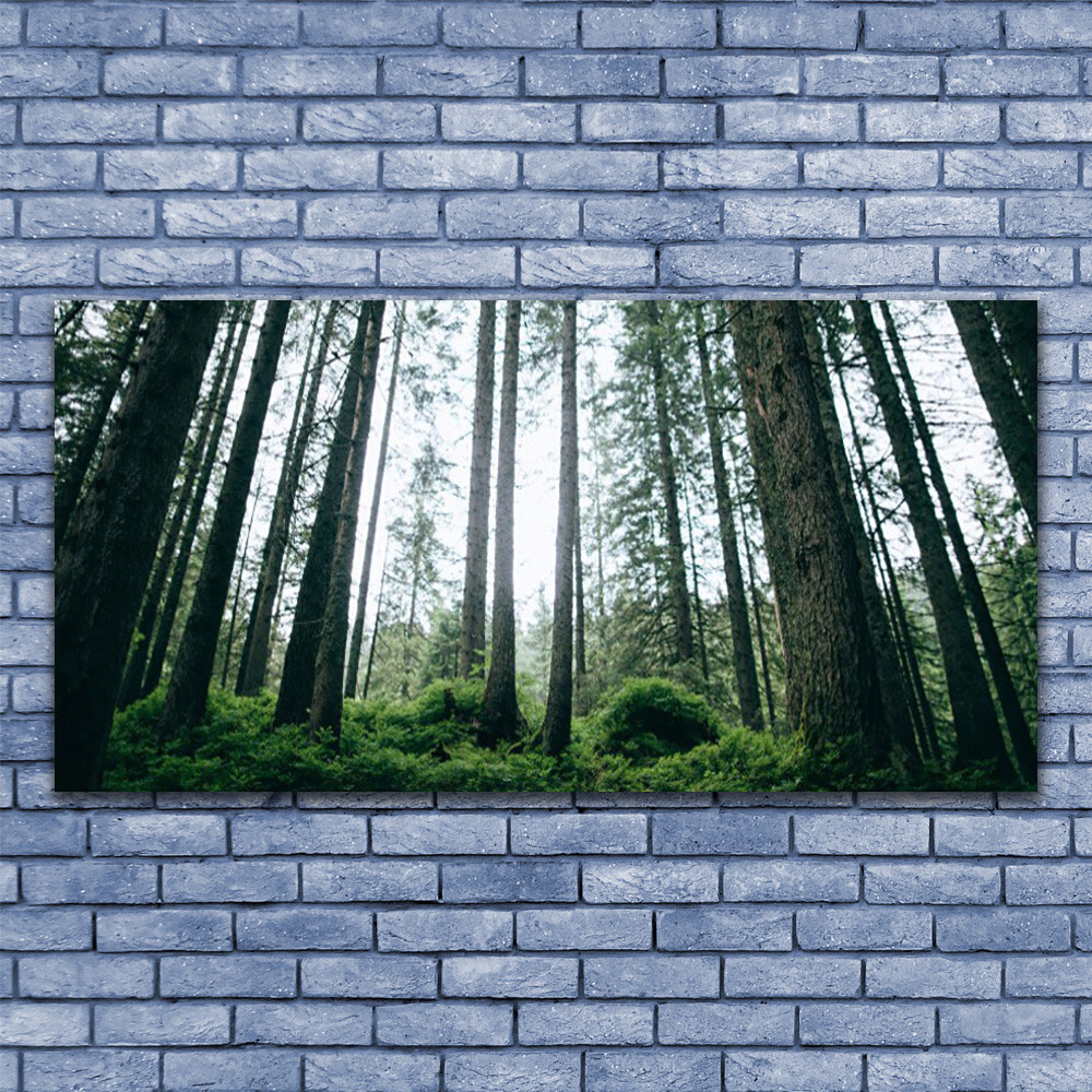 Impression sur toile nature forêt 140x70 cm grand tableau mural moderne