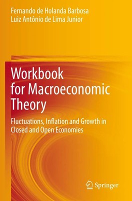 Luiz Antônio de Lima Junior (u. a.) | Workbook for Macroeconomic Theory | Buch