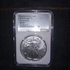 2019 W AMERICAN SILVER EAGLE BURNISHED COIN NGC MS69 First Releases