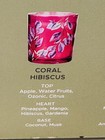 simply indulgent soy candle coral hibiscus pineapple mango gardenia coconut new — photo 5