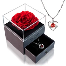 Women Gifts Ideas for Valentines Day, Preserved Forever Rose Gift with Necklace