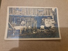Postcard. Villagers with Goats and Cow. Switzerland. Vintage. c1910's 