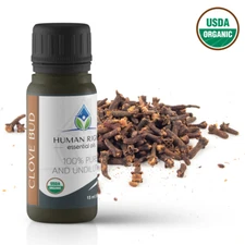 Clove Bud Essential Oil - Human Right Essential Oils HROILS.com