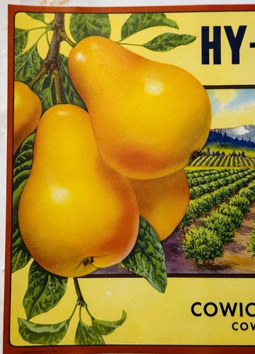 Antique Vintage 1940s Hy-Land-Kids Pears Crate Label, Cowiche, WA, Beautiful! - Picture 3 of 5