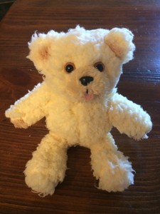 snuggle teddy bear