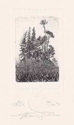 Exlibris Batakov Nikolai - Spartaco Cadioli Trees Forest Etching Print Signed