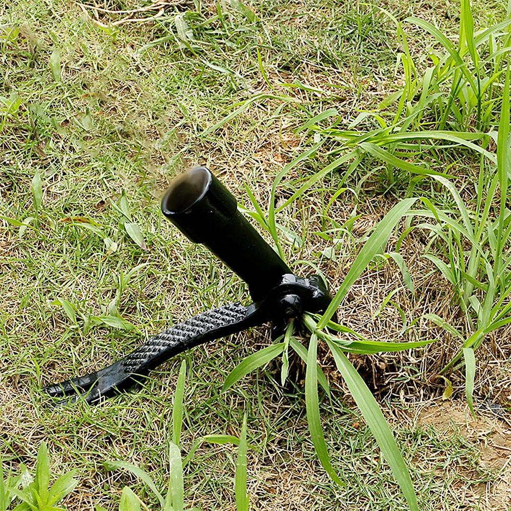 Picture 3 of 7