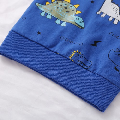 2PCS Toddler Kids Baby Boys Dinosaur Sport Tracksuits Outfit Clothing Sets - Picture 10 of 25