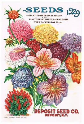 ORIGINAL VINTAGE SEED AD FLOWERS CATALOG 1929 DEPOSIT NEW YORK COMPANY CHROMO D9