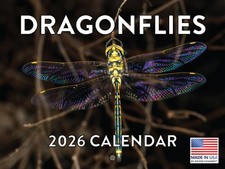 Dragonfly Calendar 2026 Wall Monthly Dragonflys Gifts For Dragonflies 
