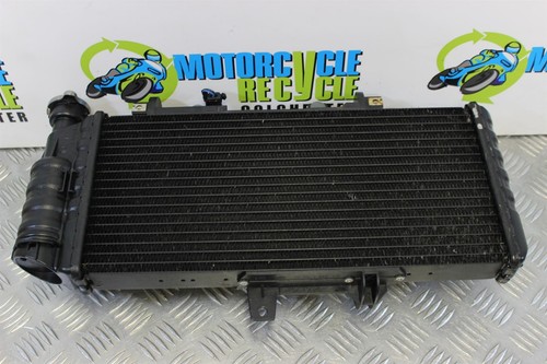 BMW F 800 GS Radiator with Fan F800GS 2008 to 2012 F800 B045
