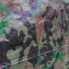 Bild 2 von 8