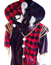 Jokster costume