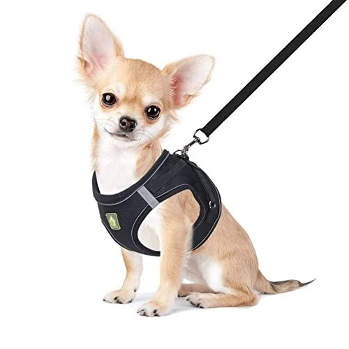 Dog Harness and Leash Set, No-Pull Breathable Soft S (Chest 11.8-13.3'') Black
