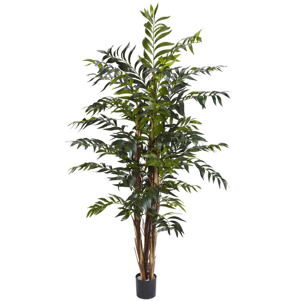 5' Bamboo Silk Palm Tree