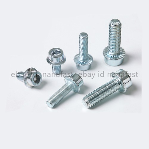 Galvanized Steel Hexagon Socket Head With Serrated Flange Screws M4 M5 M6 M8 M10 - Picture 9 of 12