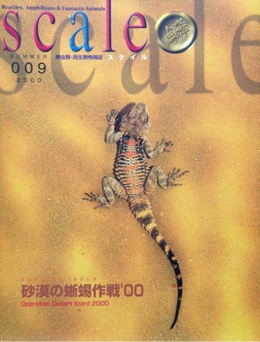 Operation Desert Lizard Reptiles Amphibian Fantastic Animals magazine ...